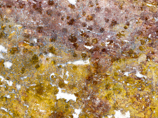Texture, marble travertine