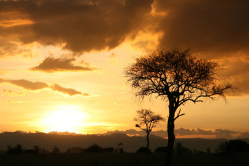 Fototapeta na wymiar African Sunset. Tanzania, Afryka