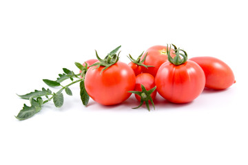 Red tomatos  isolated on white background