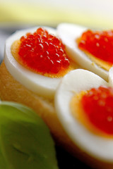 red kaviar,vorspeise