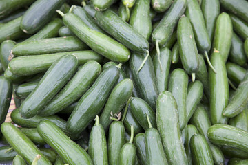 Gemüse auf türkischem Markt