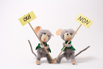 Les deux manifestants