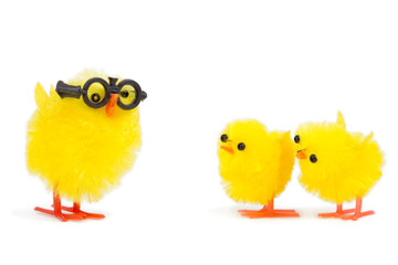 two baby chicks looking at funny older brother
