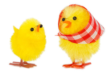 mommy chick and baby chick