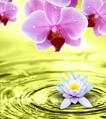 Wellness und Entspannung mit Blumen © Thaut Images