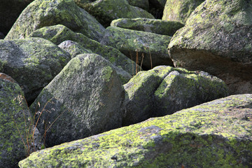 .Textur-Serie: Felsbrocken