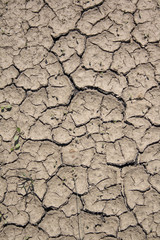 dry background