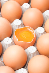 Chicken egg