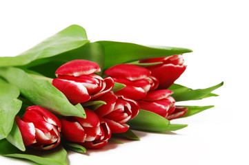 Blumenstrauß roter Tulpen