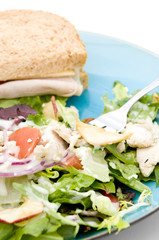 Sandwich and Salad for Lunch