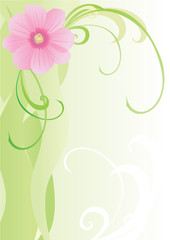 vector flower green banner  backdrop