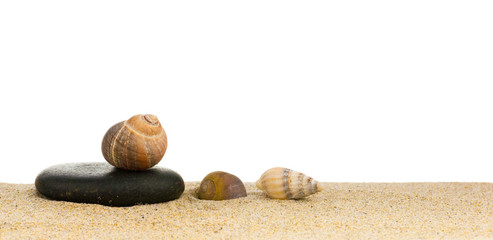 image de coquillages posés sur le sable à la plage et galet