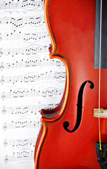 Naklejka premium violin music classic string instrument
