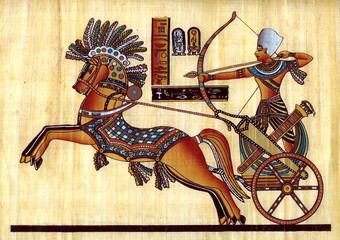 Egyptian papyrus - 20074338