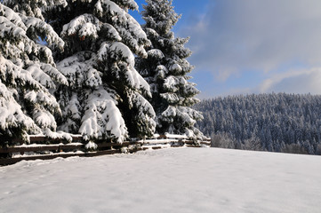 Winter Schee Landschaft Wald Zaun