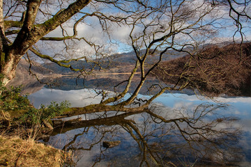 Llyn Dinas reflections