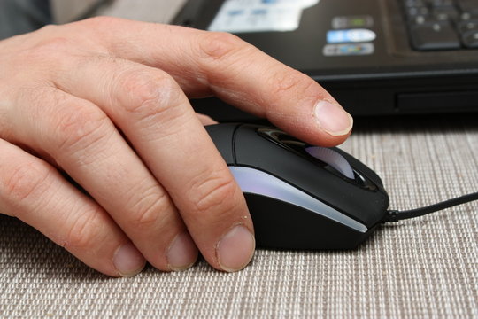 Souris noire