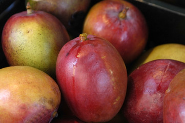 Fototapeta na wymiar Mangos en frutería