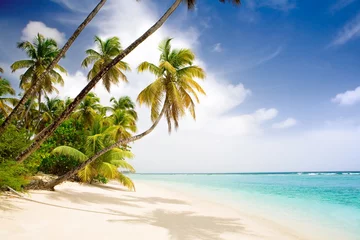 Foto auf Acrylglas Karibik paradiesischer karibischer strand