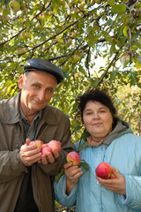 Middleaged man and woman stand under tree, hold apples