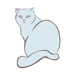 blue cat