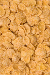 Close-up of cornflakes