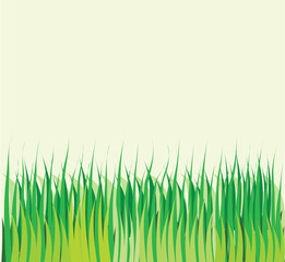Background with vector green grass