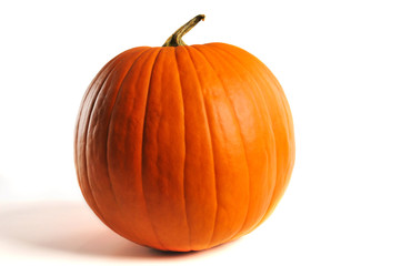 Pumpkin isolated on a white background