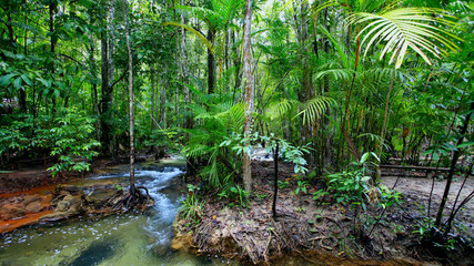 Obraz premium Waterfall Thailand