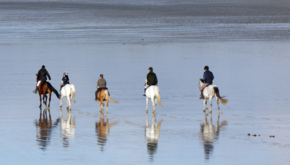 Randonnée équestre © Sébastien Delaunay