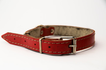 Dog-collar