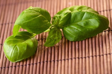 Fresh basil