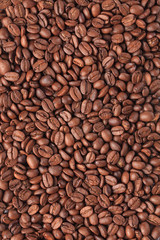 coffee beans background