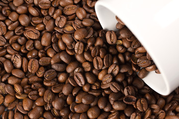 coffee beans with white cup