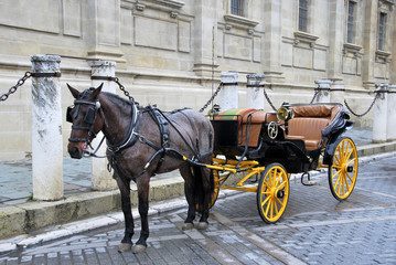 Horse carriage 3