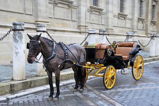 Horse Carriage 3