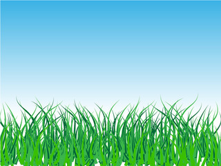 background with green grass field