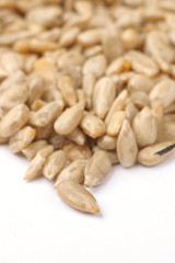 peeled sun flower seed close up or macro