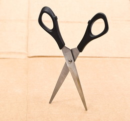 Scissors in cardboard