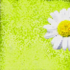 Foto auf Acrylglas Pixel Gänseblümchen karierter Hintergrund