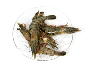 Plate with raw shrimp over white background