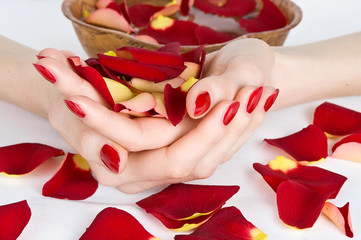 Hands with manicure holding rose petals during spa