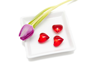 purple tulip and red hearts isolated on white