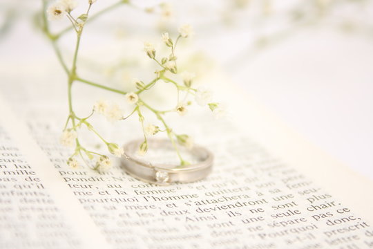 Saint Valentine's Day / 情人节