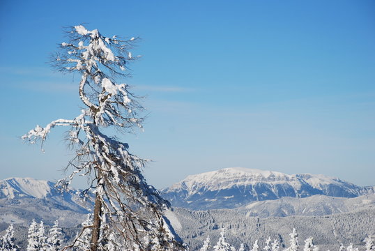 Veitsch
