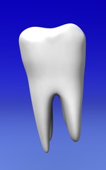 tooth