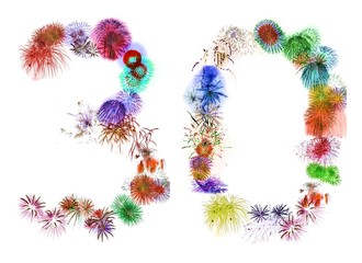 fireworks 30