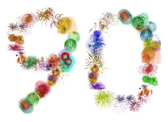 fireworks 90