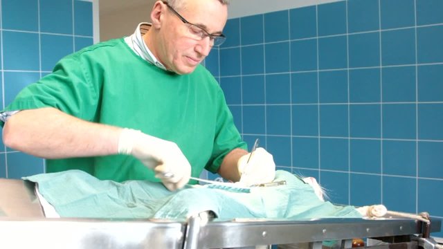 sutures f&eacute;lines au bloc op&eacute;ratoire