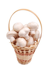 Fresh field mushrooms in a basket